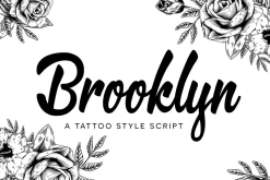 Premium Font Bundle