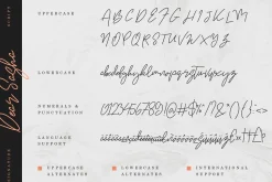 Premium Font Bundle