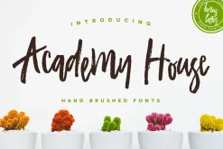 Premium Font Bundle
