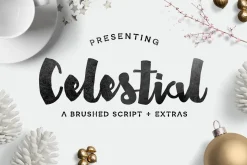 Premium Font Bundle
