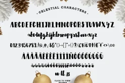 Premium Font Bundle