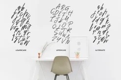 Premium Font Bundle