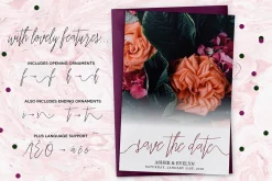Premium Font Bundle