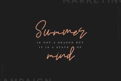 Premium Font Bundle
