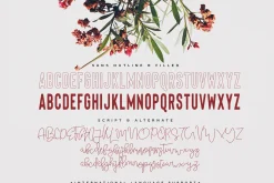Premium Font Bundle