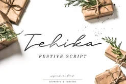 Premium Font Bundle
