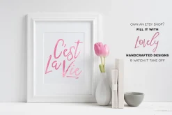 Premium Font Bundle