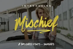 Premium Font Bundle