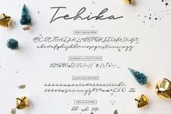 Premium Font Bundle