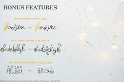 Premium Font Bundle