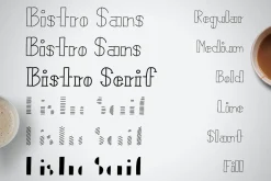 Premium Font Bundle