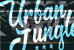 Premium Font Bundle