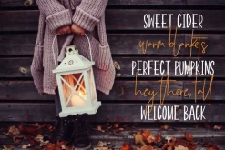 Premium Font Bundle