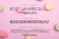 Premium Font Bundle