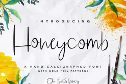 Premium Font Bundle