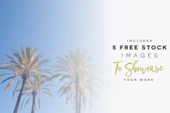 Premium Font Bundle