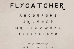 Premium Font Bundle