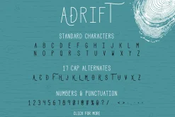 Premium Font Bundle