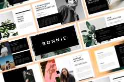 120 Presentation Template Bundle