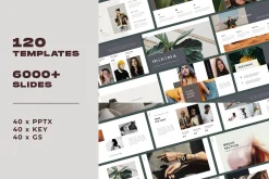 120 Presentation Template Bundle