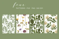 Pressed Dry Flowers & Leaves