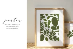 Pressed Dry Flowers & Leaves