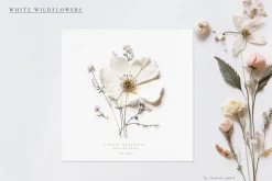 Pressed Flowers (Png) Elements