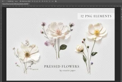 Pressed Flowers (Png) Elements