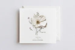 Pressed Flowers (Png) Elements