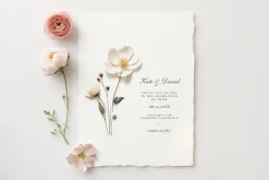 Pressed Flowers (Png) Elements