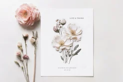 Pressed Flowers (Png) Elements