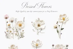 Pressed Flowers (Png) Elements