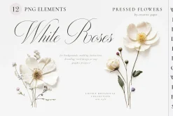 Pressed Flowers (Png) Elements