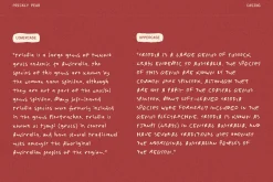 Prickly Pear Desert Handwriting Font