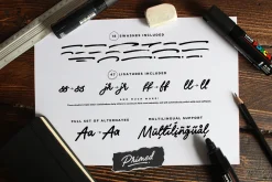 Primed Bold Brush Font