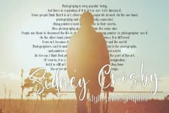 Prince Crown Font Duo