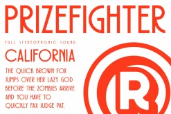 Prizefighter Display