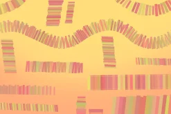 20+ Procreate book shelf brushes