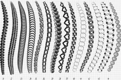Procreate Chains Jewelery brushes