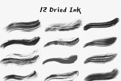Procreate Japanese ink brush&stamps