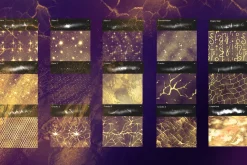 PROCREATE MAGIC SHINE & GLITTER