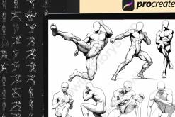 150 Procreate male body poses stamps
