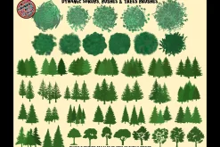 Procreate Nature Brush Toolkit
