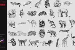 Procreate Safari Animals Stamps