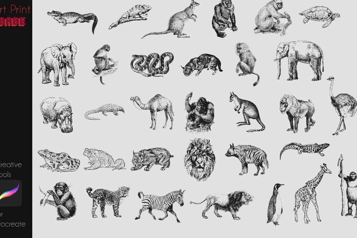 Procreate Safari Animals Stamps