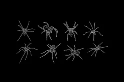 50+ Procreate spiders & webs stamps