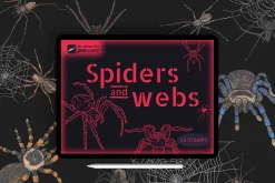 50+ Procreate spiders & webs stamps