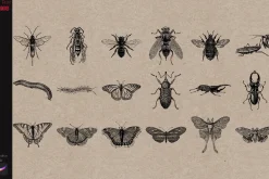 Procreate Tattoo Stamps Insects Bugs