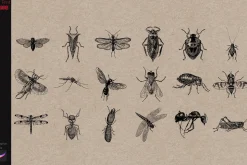 Procreate Tattoo Stamps Insects Bugs