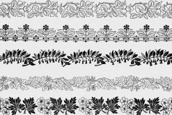 Procreate Vintage Nature Borders
